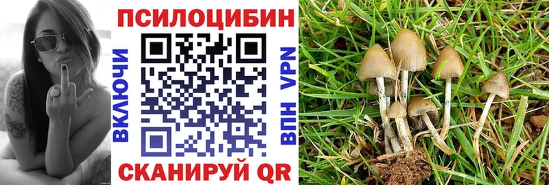 Псилоцибиновые грибы мухоморы  Подольск 