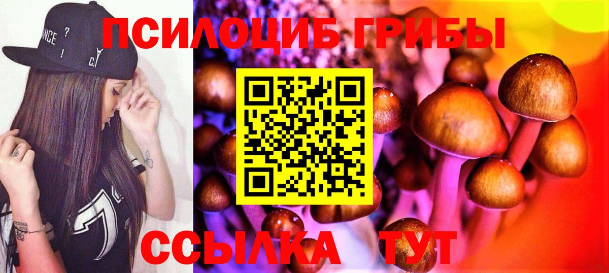 Галлюциногенные грибы мицелий  Вход с VPN  Подольск 