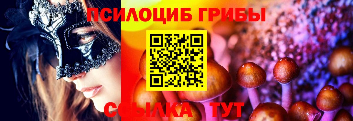 Галлюциногенные грибы Cubensis Подольск